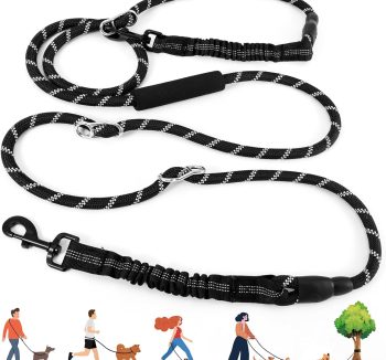 dog obedience training kit