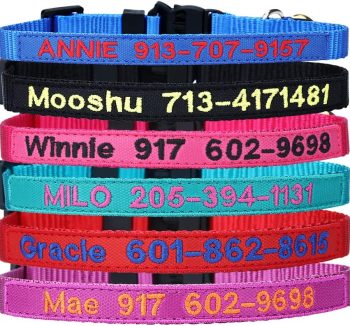 cat collar personalized