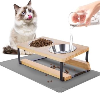 cat food for indoor cats