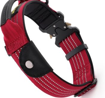 reflective dog collar