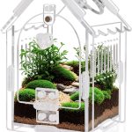 terrarium kit complete