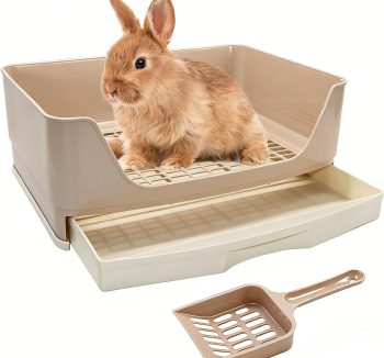 rabbit litter box setup