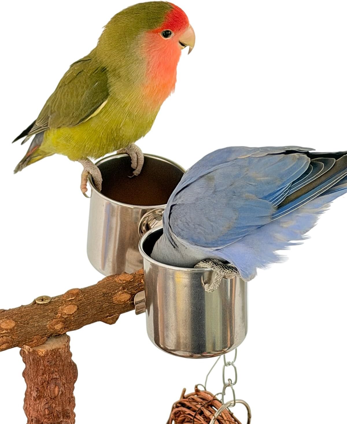 Bird Playground, Natural Wood Bird Play Stand with Stand Perch, Swing, Toy, Two Food Cups, and Removable Tray, Suitable for Lovebirds, Cockatiels, Budgies, Parakeets, and Other Birds - Happypetzone.online - Image 8