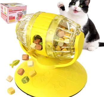 cat food for kittens