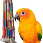 bird toys hanging