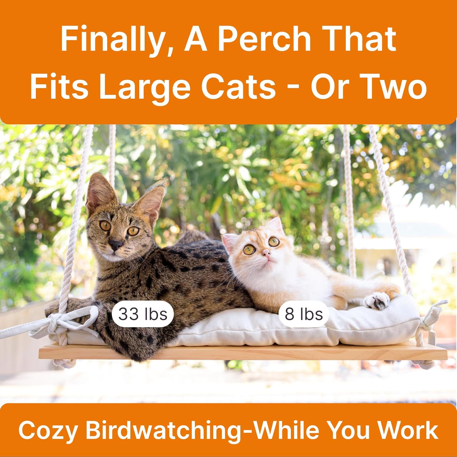 Large Cat Window Perch with Industrial-Grade Suction Cups – Solid Pine Wood Hammock Bed, Soft Cushion - 42 lb Capacity for Heavy Cats Inside - Happypetzone.online - Image 2