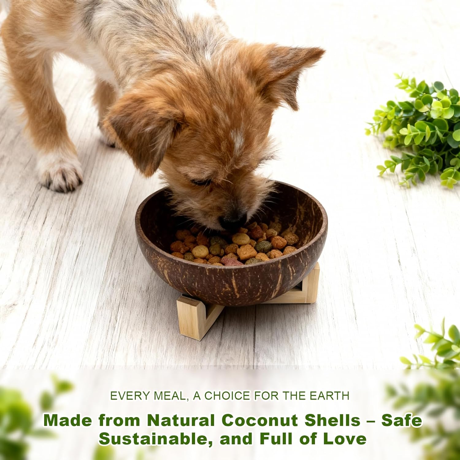Handmade Natural Coconut Shell Dog Bowl, Eco-Friendly Pet Food Dish, Easy-to-Clean Sustainable Feeding Bowl for Small Dogs - Happypetzone.online - Image 3