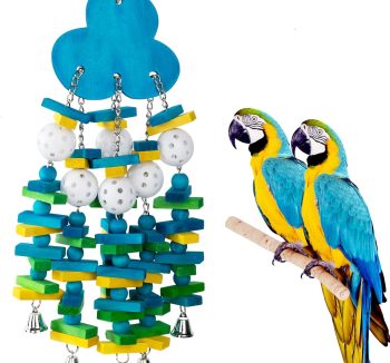 bird toys amazon best