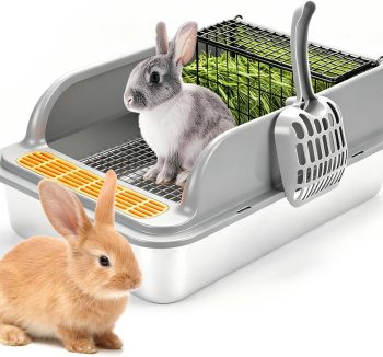 rabbit litter box setup