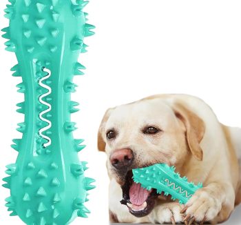 best dog chews for teeth