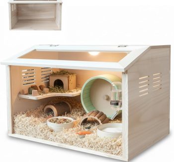 hamster tank habitat