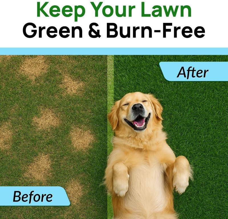 PAWFECTCHEW Green Grass Dog Chews with Probiotics – Lawn Burn Support – Dog Urine Neutralizer for Grass – Pee Spot Control – Gut & Urinary Health – 240Ct - Happypetzone.online - Image 2