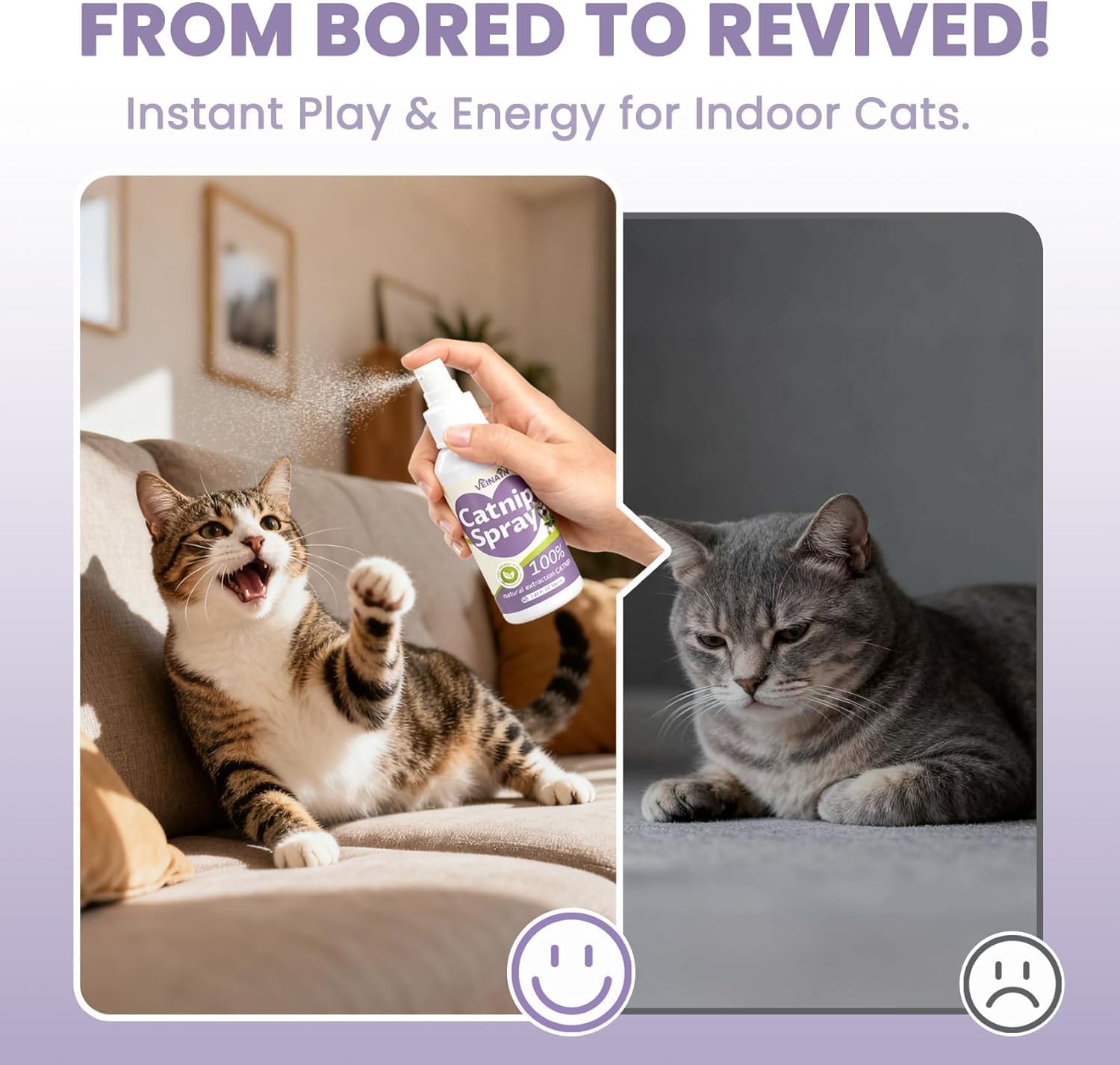 Catnip Spray for Cats, 100% Natural Catnip Mist Spray for Cats & Kittens, Relieves Stress, Calming, Safe for Pets - 2 Fl Oz - Happypetzone.online - Image 4