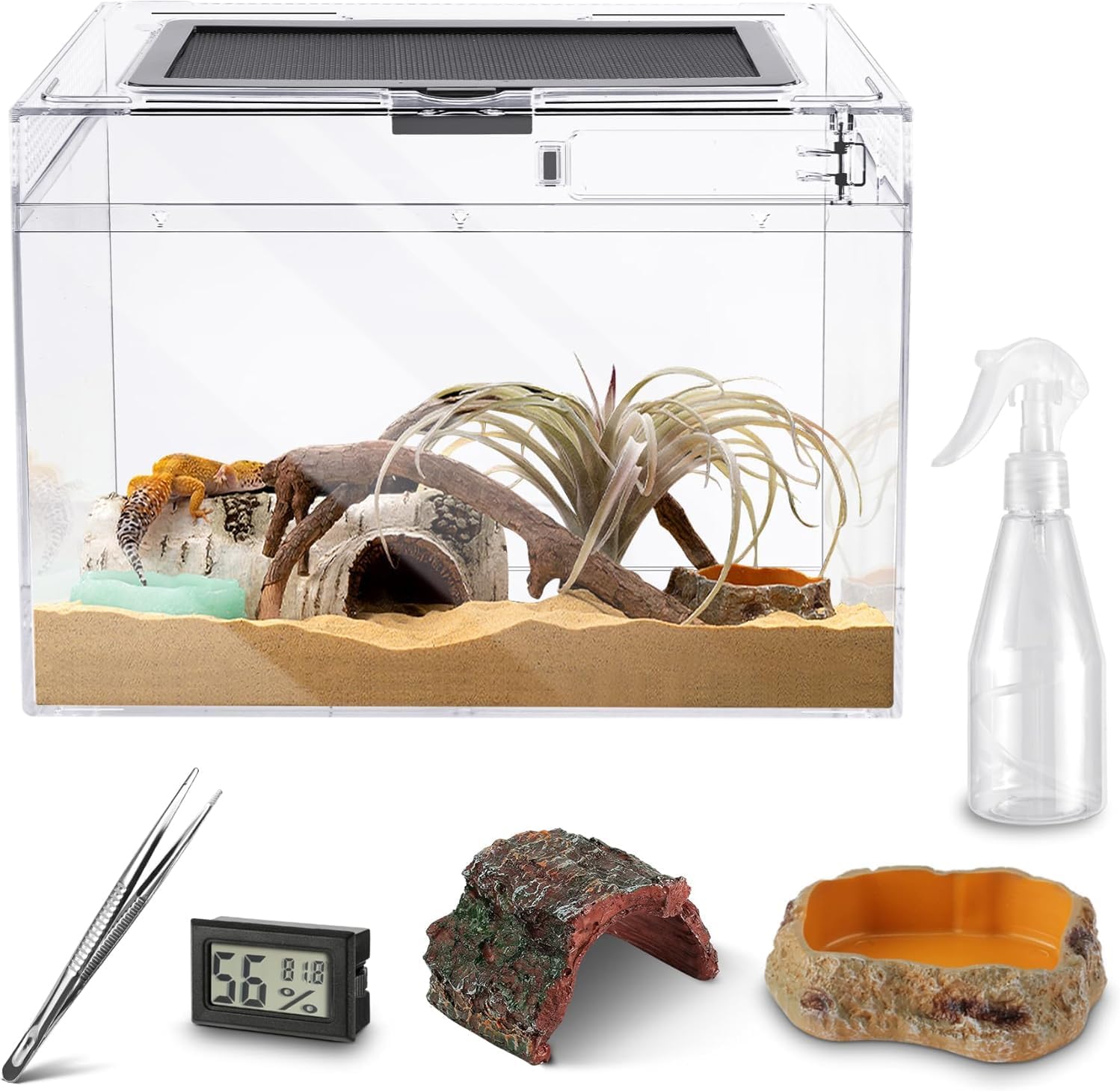 reptile tank starter kit