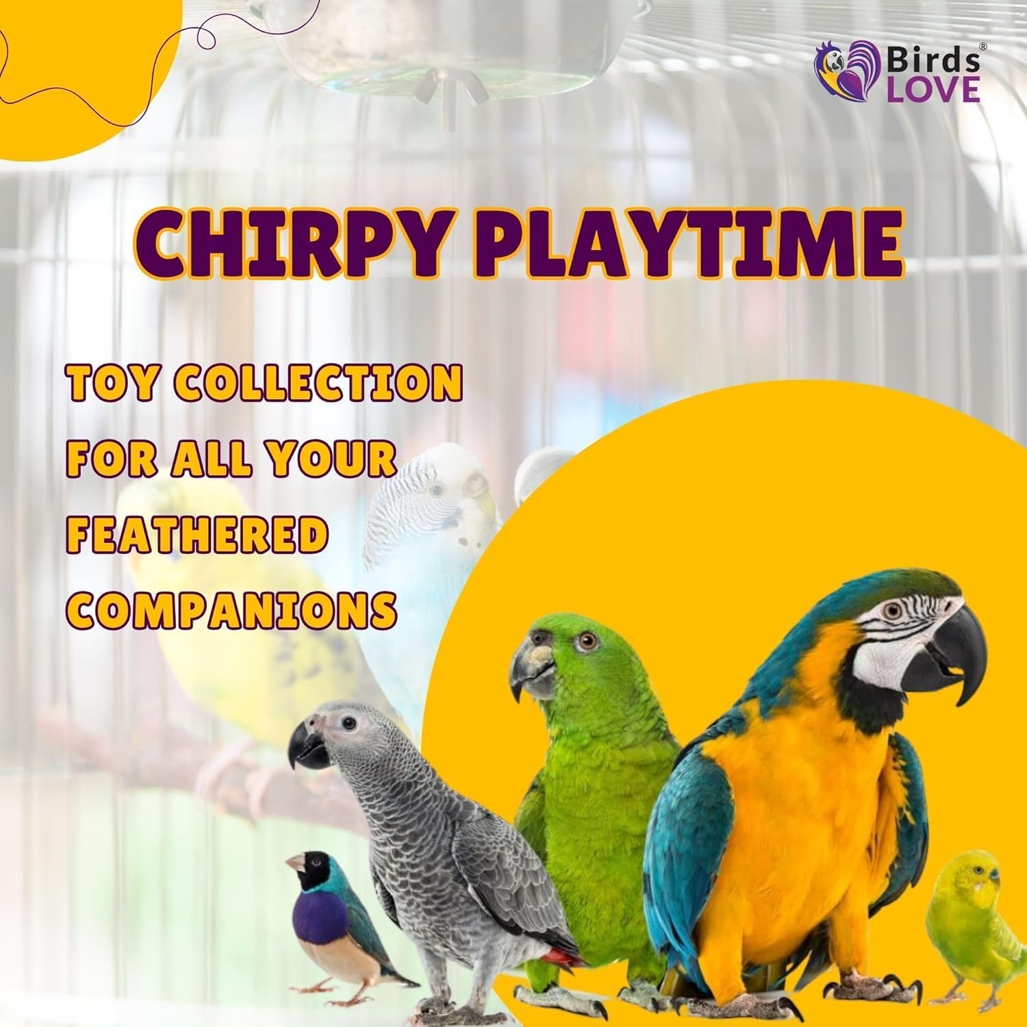 Birds LOVE Wood Stars & Leather Toy for Bird Cage Stand or Playgym, Bird Toys for Small to Medium Parrots, Sun Conures, Green Cheeked Conures, Quakers, Parakeets, Caiques, Cockatiels, African Senegals - Happypetzone.online - Image 7