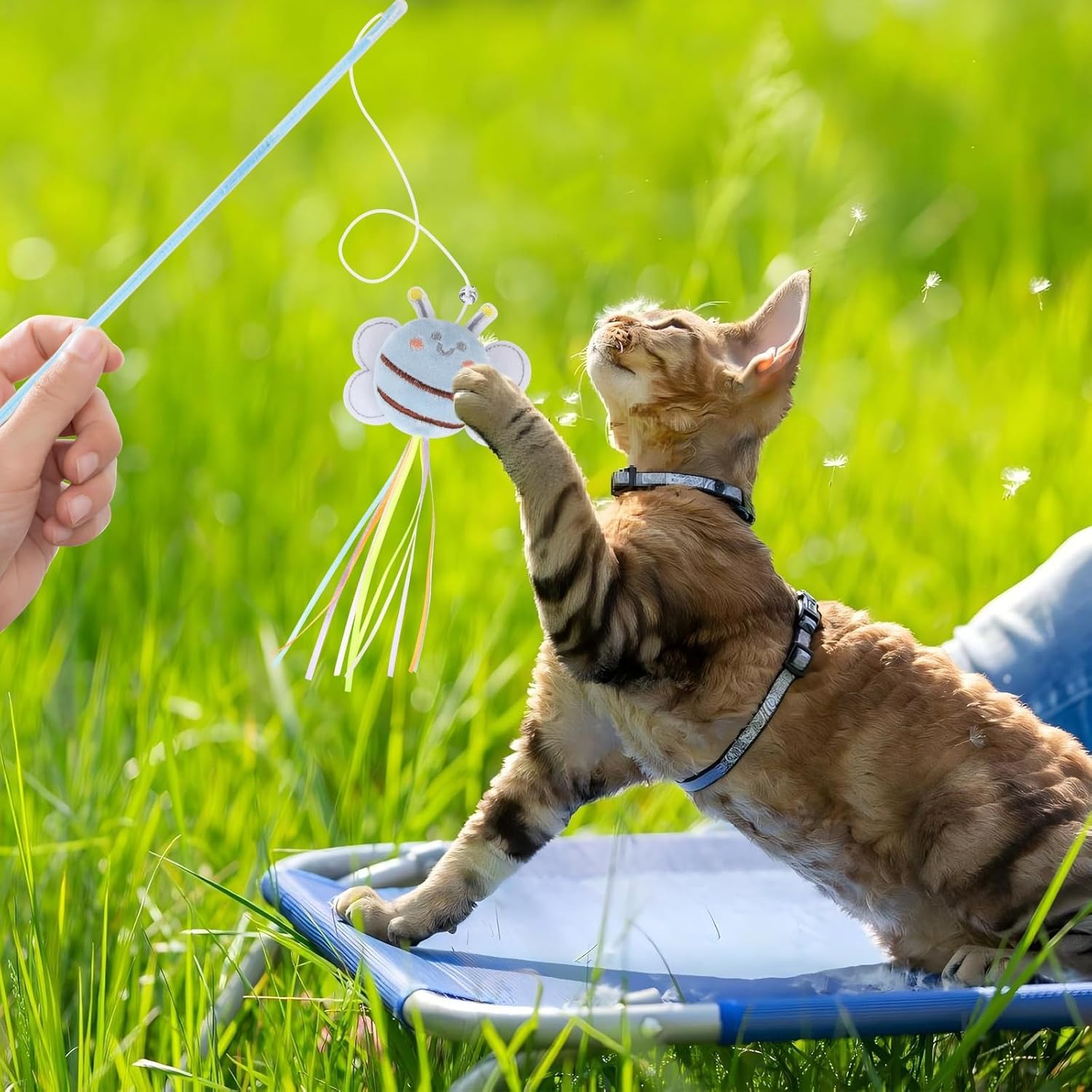 NOWFRESH Cat Wand Toy Set, 2 PCS Interactive Cat Teaser Wands with Cute Bee & Mouse Designs, Equipped with Bells and Streamers to Captivate Your Cat’s Attention - Happypetzone.online - Image 5