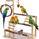 bird cage play top