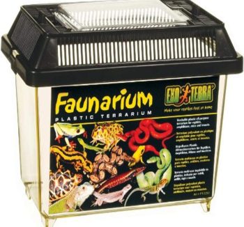 reptile tank amazon best
