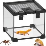 small reptile tank