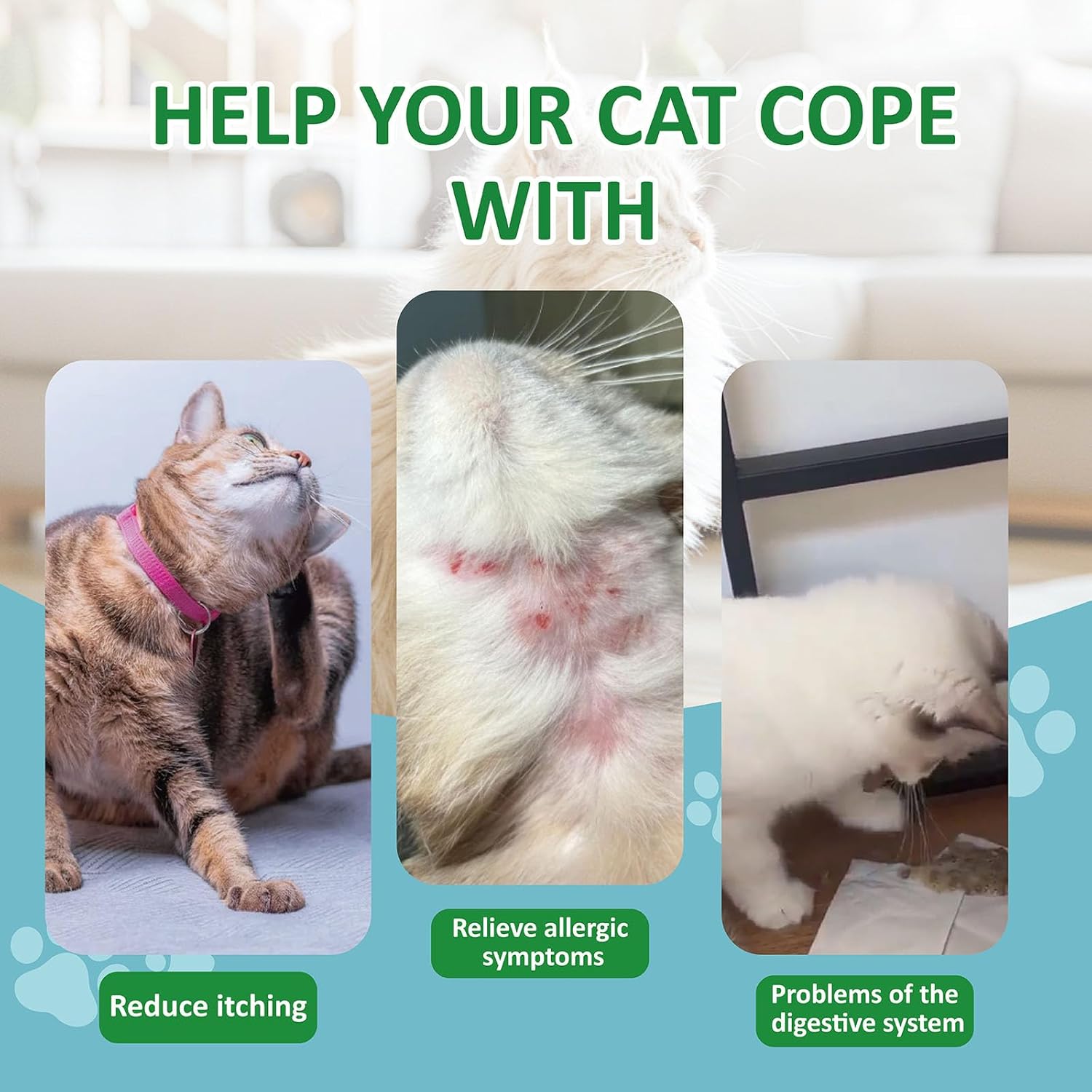 Cat Allergy Relief Chews for Seasonal Allergies - Itchy Skin, Sneezing & Paw Licking Remedy with Colostrum, Probiotics 300M CFU & Omega 3, Salmon Flavor Soft Chews, 100 Count - Happypetzone.online - Image 3