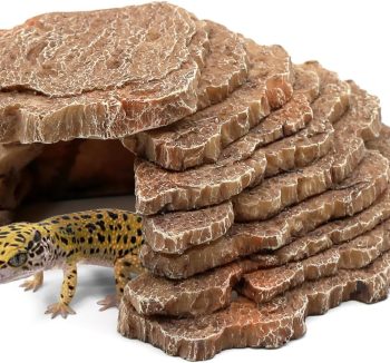 reptile accessories amazon best