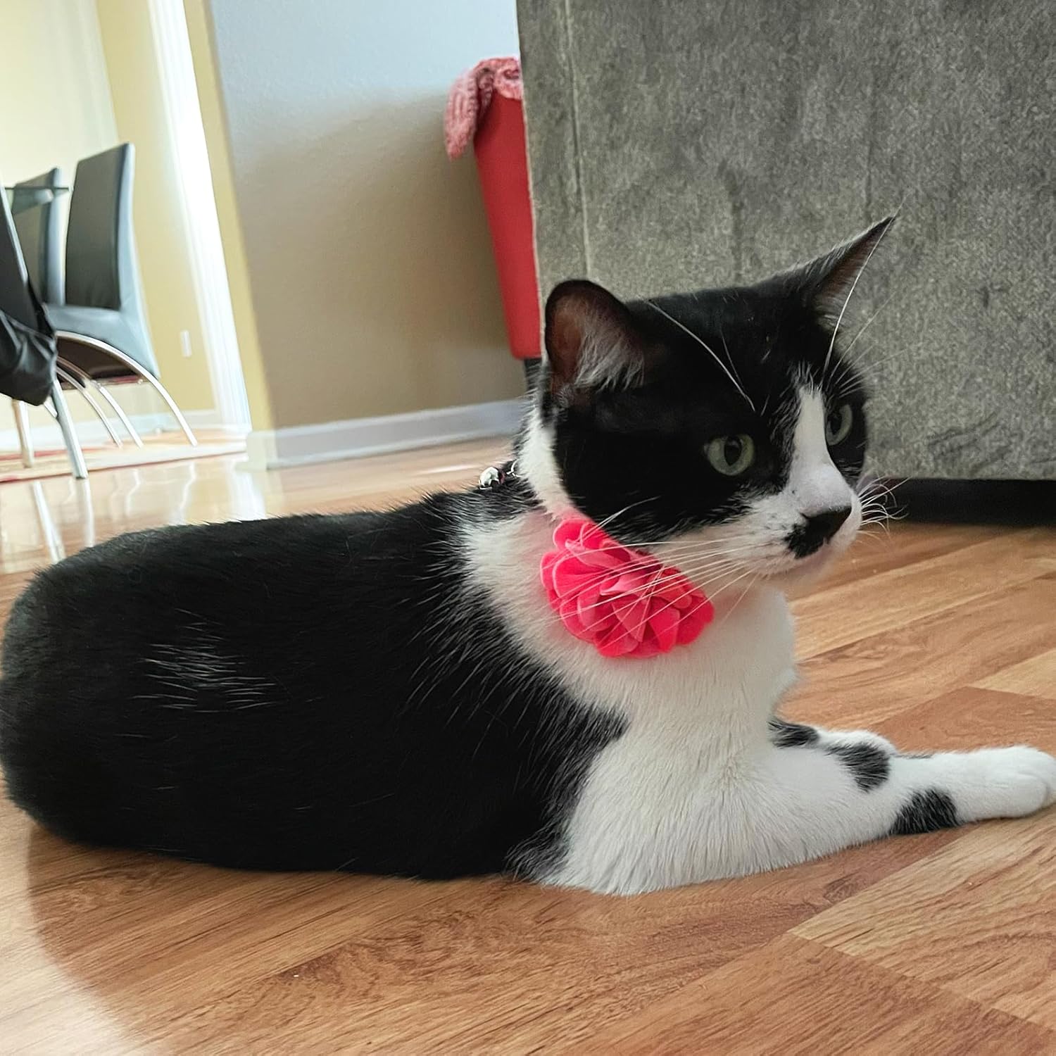 azuza 2 Pack Cat Collar Floral with Bell and Removable Flower Bowtie Breakaway Adjustable Velvet Fabric Cat Collar for Pets and Daily Decoration, Light Pink & Dark Pink - Happypetzone.online - Image 8