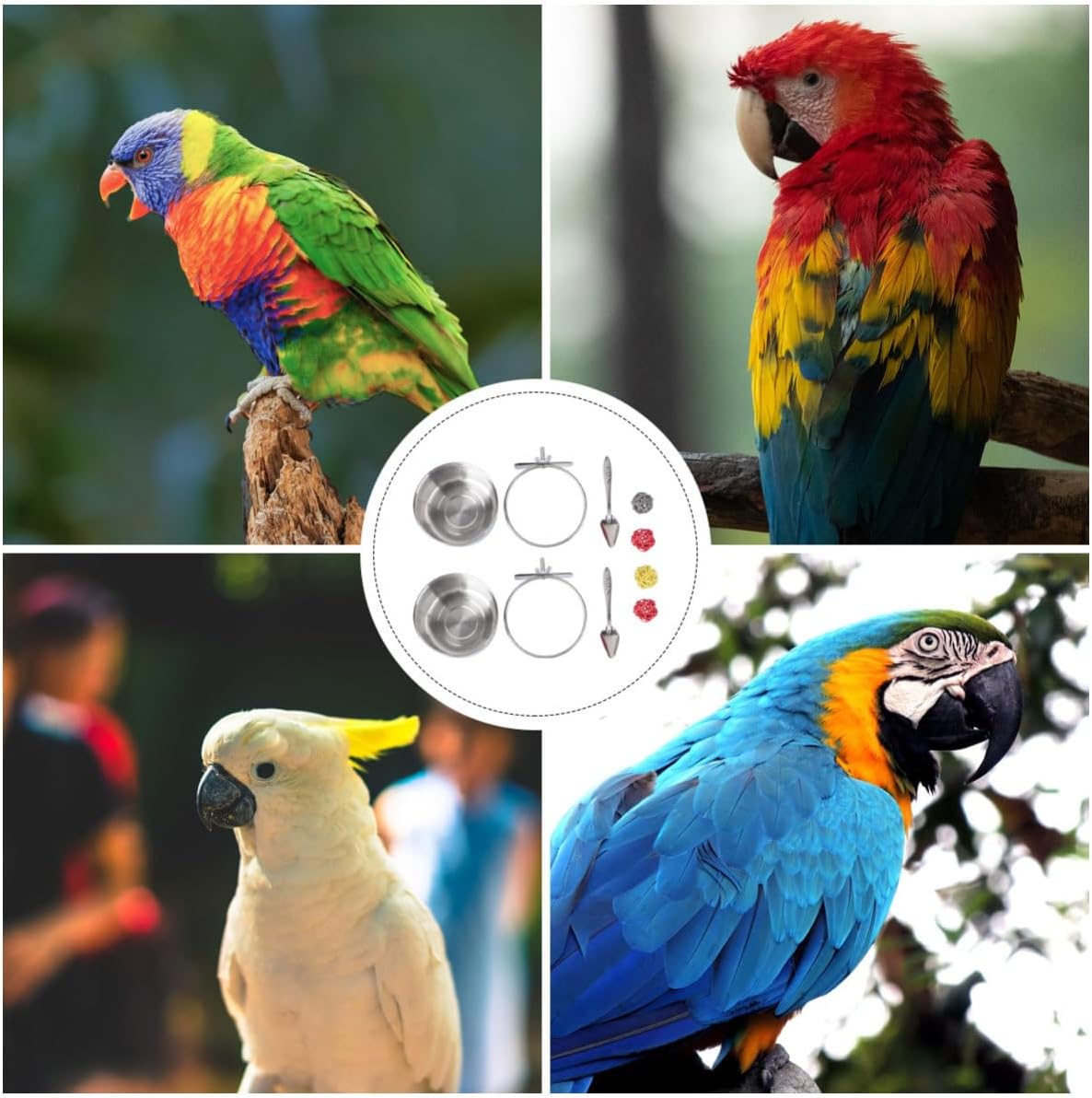 Toddmomy 8pcs Stainless Steel Parrot Feeding Set Bite Chinlon Spoons Bowls Organic Willow Material for Birds Easy Feeding - Happypetzone.online - Image 3