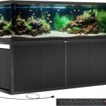 aquarium tank large