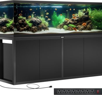 aquarium tank large