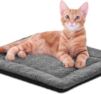 cheap cat bed amazon