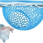 betta fish food