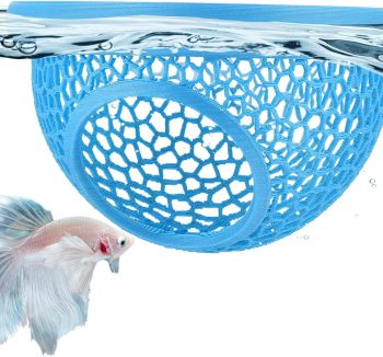 betta fish food