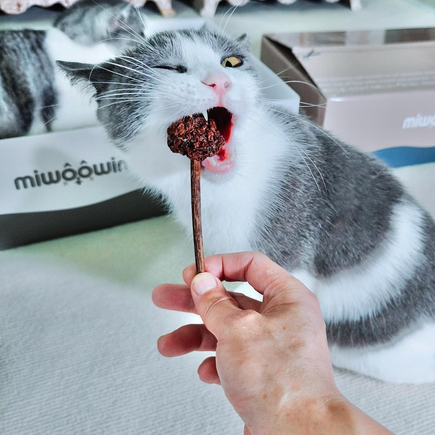 4 PCS Silvervine Stick Cat Toy with Gall Fruit – Natural Lollipop-Shaped Matatabi Chew Toy for Cats – Catnip Alternative for Teeth Cleaning, Anxiety Relief & Interactive Play – 4.8" Cat Dental Toy - Happypetzone.online - Image 6