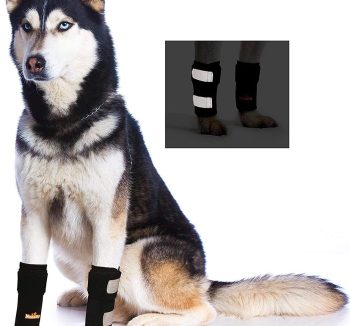 dog joint supplement