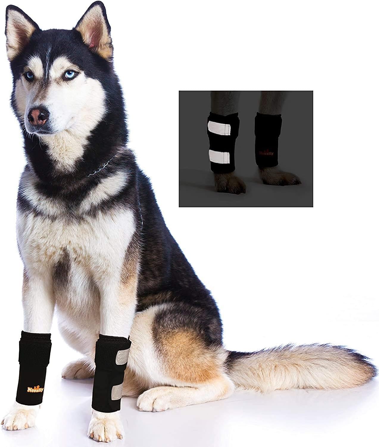 dog joint supplement