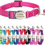 cat collar reflective