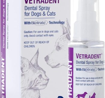 cat health care products