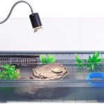 reptile habitat setup kit