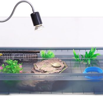 reptile habitat setup kit