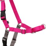 best dog harness for training