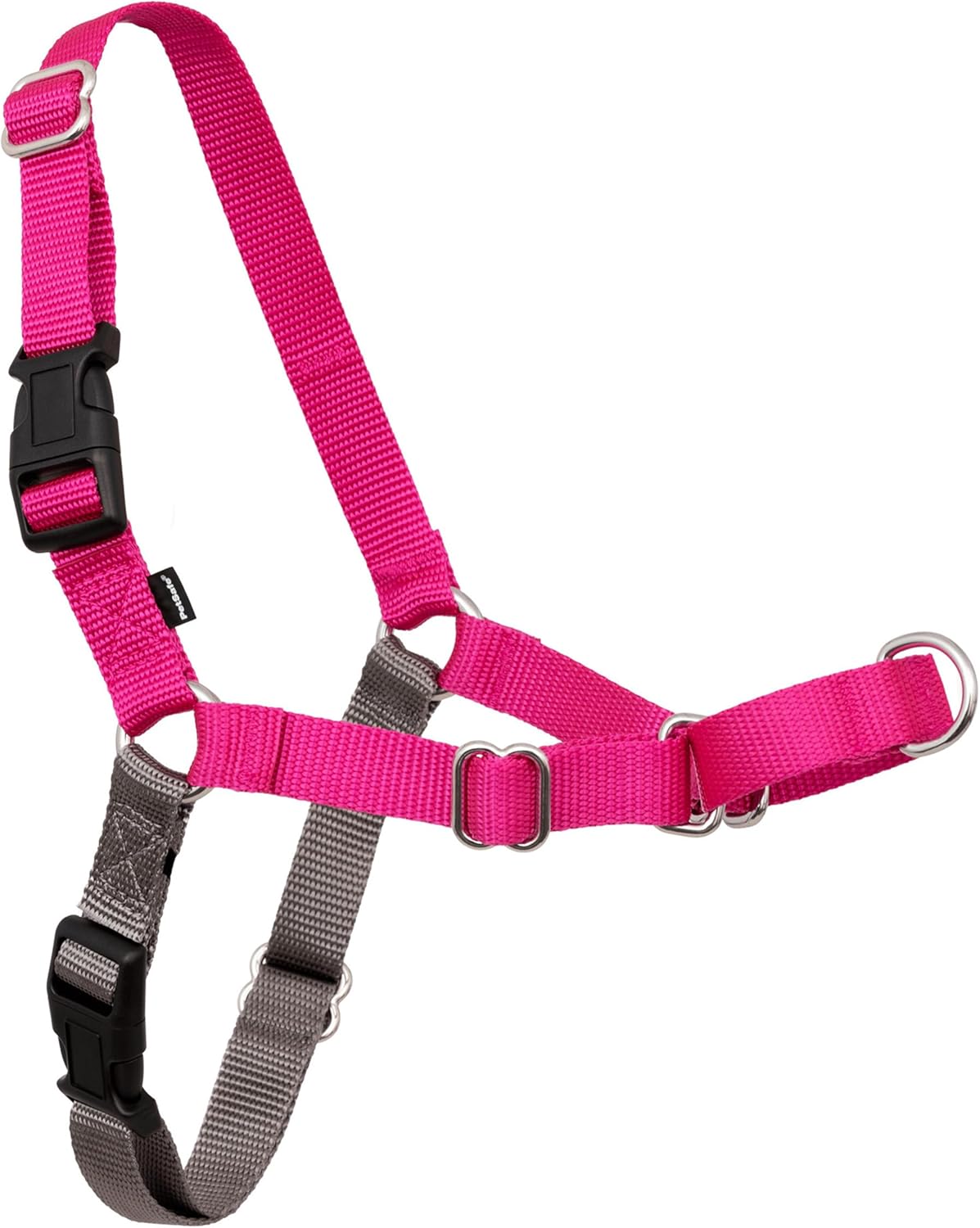 best dog harness for training