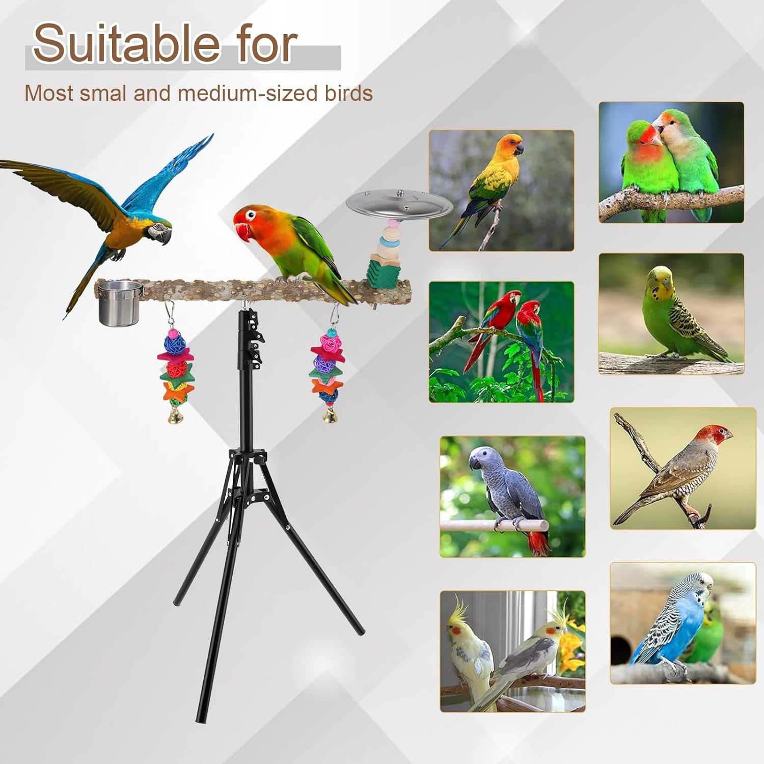 72" Parrot Stand, Adjustable Height Bird Perch, Pepper Wood Perch Stand, Parakeet Perches with Feeding Cups, Swing Toy, Toy Cymbals,Parrot Stands for Indoor & Outdoor Small to Medium Bird. - Happypetzone.online - Image 6