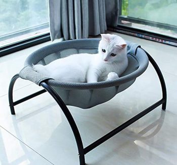 cat resting furniture