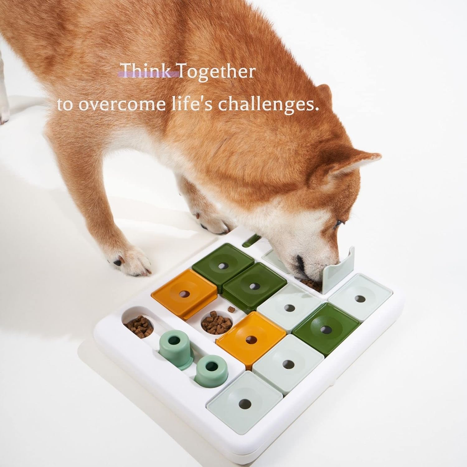 Barkwhiz Dog Puzzle Toy 3 Levels, Mental stimulating for Boredom and Smart Dogs, Treat Puzzle for All Breeds Dog - Happypetzone.online - Image 6
