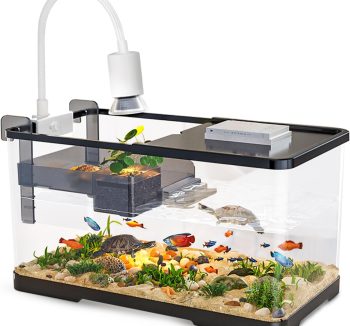 reptile tank starter kit
