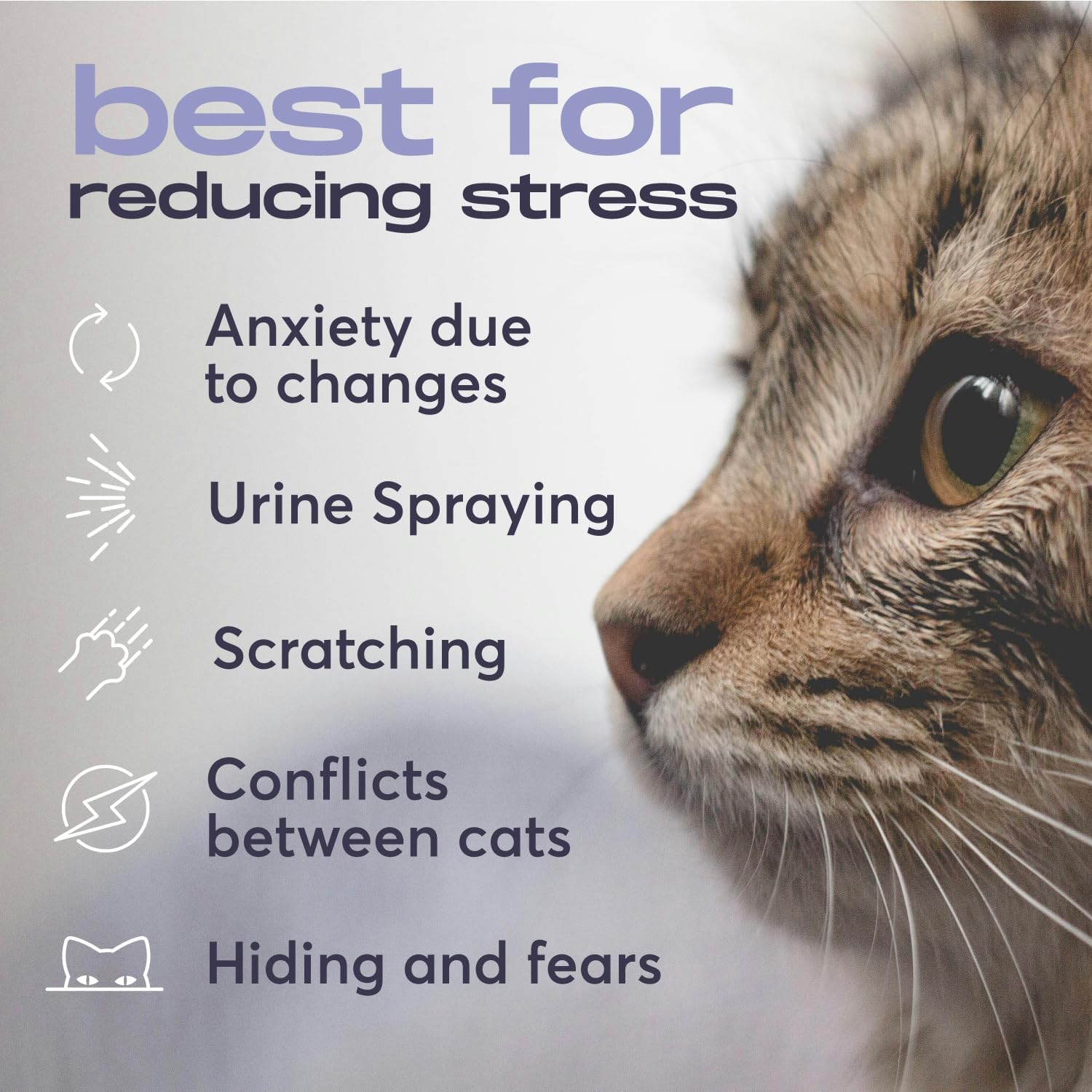 Cat Calming Diffuser Refills – Long-Lasting 30-Day Formula, Cat Pheromones Calming Diffuser for Stress Relief, Relaxation, and Anxiety Reduction, Easy to Use – (2 Diffusers + 2 Refills) - Happypetzone.online - Image 2