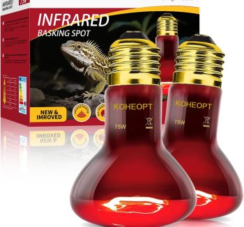 reptile heat bulb
