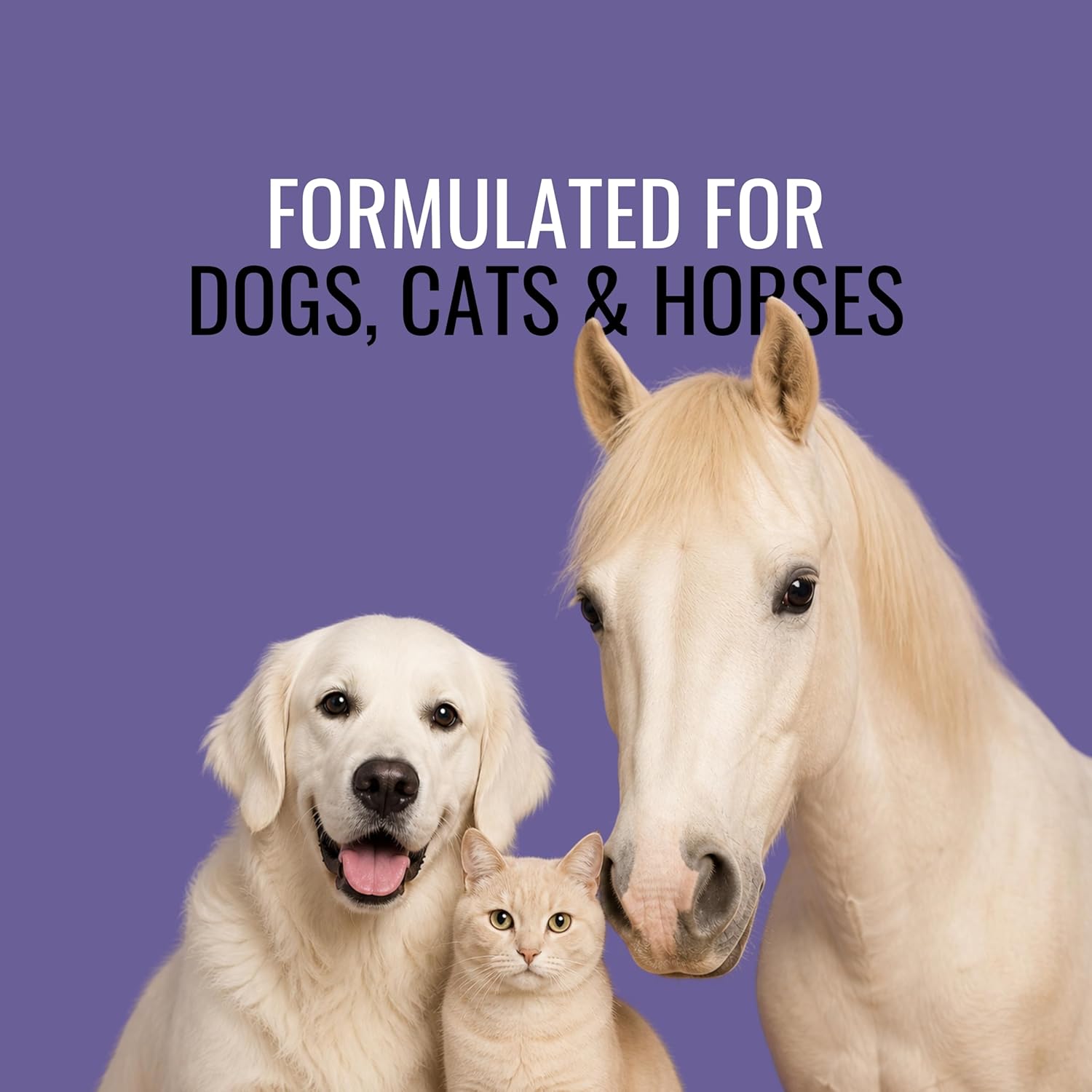 NOVEHA 1% Hydrocortisone Spray for Dogs, Cats, Horses – (3 x 120mL) - Happypetzone.online - Image 7