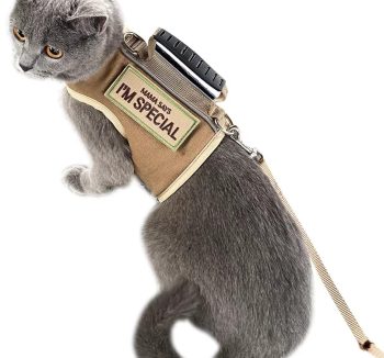 cat harness escape proof