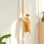 cat climbing tree indoor